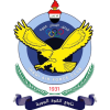 巴格达空军队标